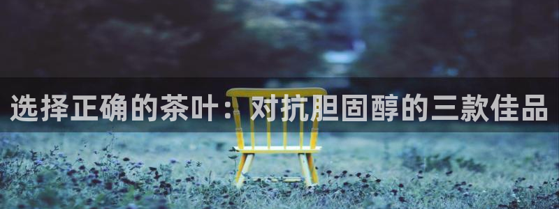 龙八国际APP官方版