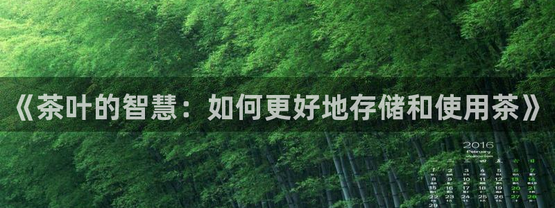 龙八国际选q18点tv