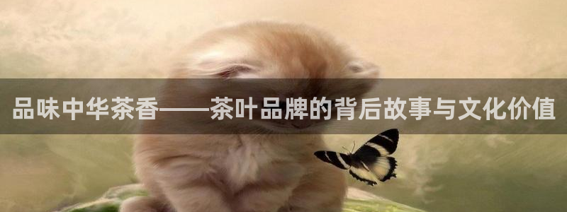 龙八国际新版本