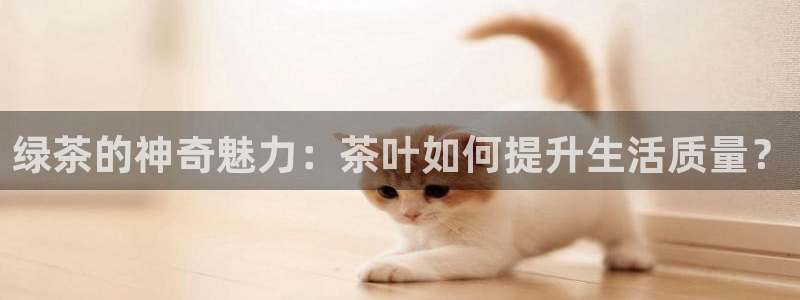 龙八国际娱乐群