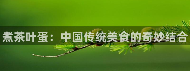 龙八国际官网进入