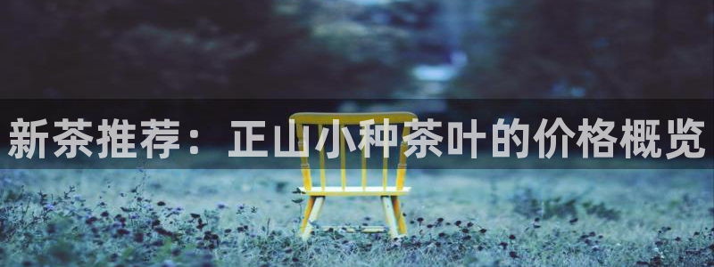 龙八国际娱乐App客户端下载