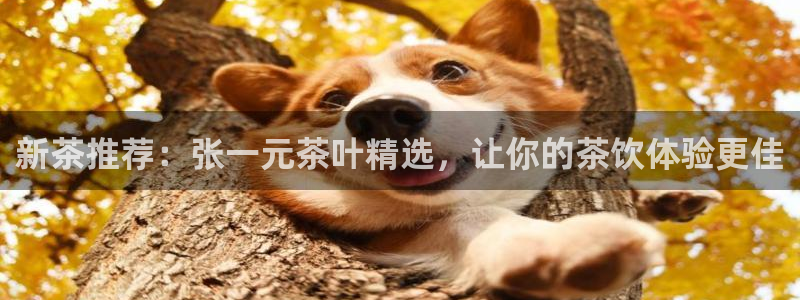 龙八国际客户端下载平台