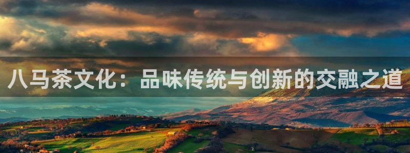 龙八国际官网安卓