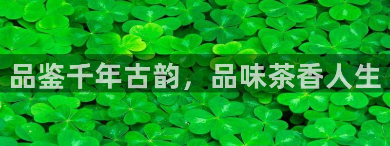 龙八国际pT娱乐官网