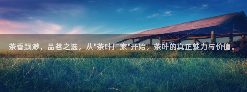 正规龙八国际