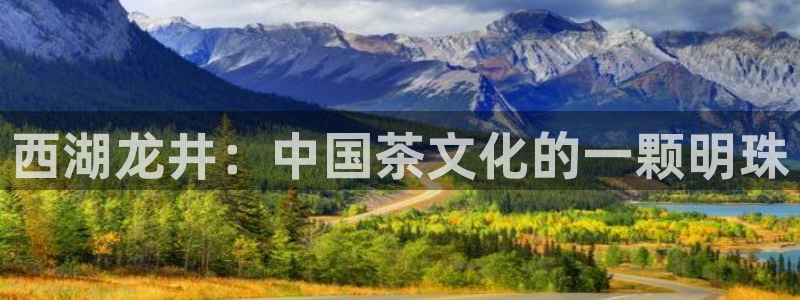 正规龙八国际娱乐
