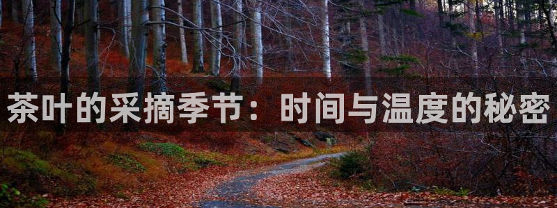 龙八国际娱乐