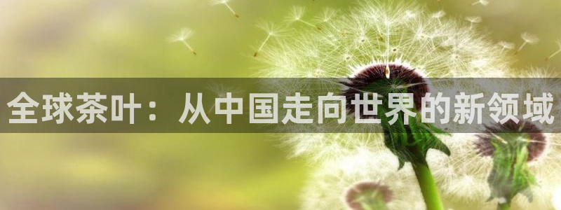 龙八国际平台