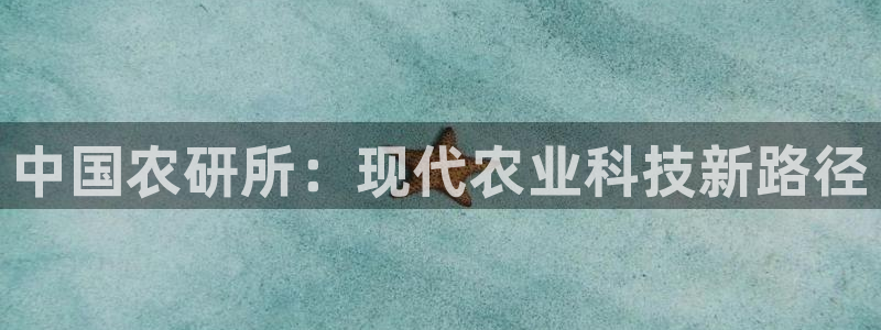 龙八国际网址是什么