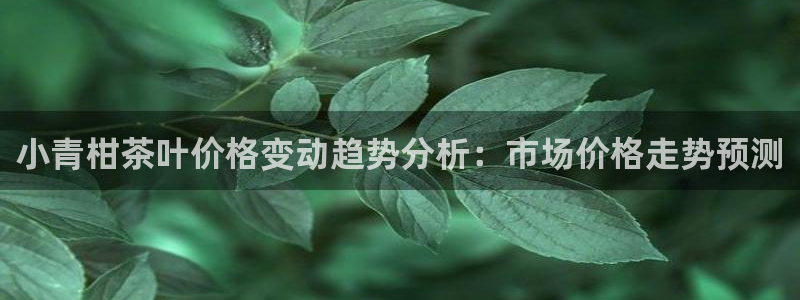 大英龙八国际