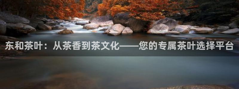 龙八国际平台真人游戏