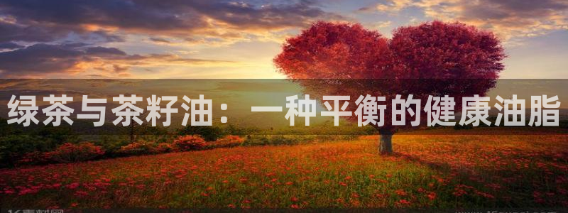 龙八国际官方网址