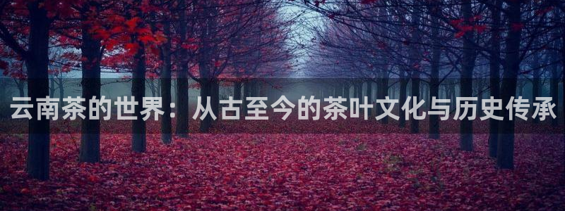 龙八国际官方娱乐网站com