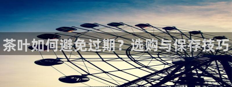 龙八国际赌博经验