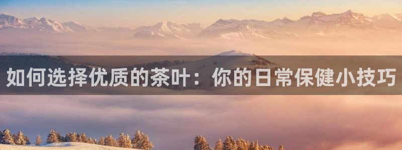 龙八国际娱乐网站