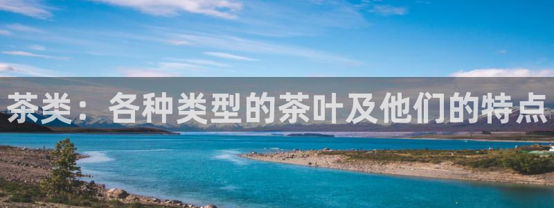 龙八国际官网下载安卓