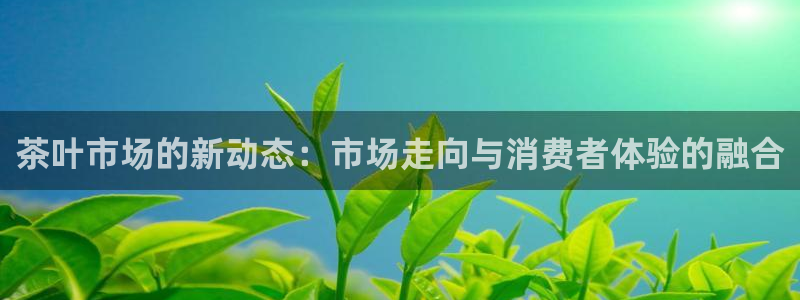龙八国际app鄂州