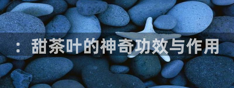 龙八国际下载地址