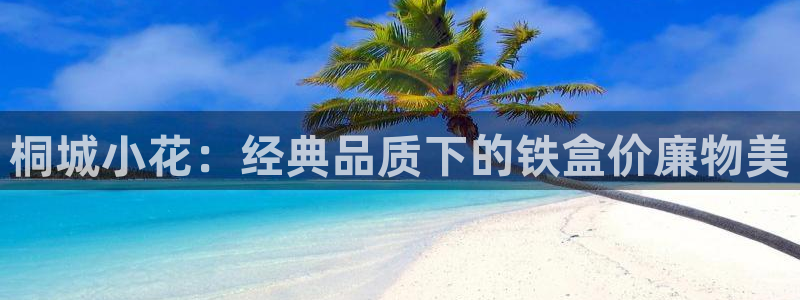 龙八国际安全吗