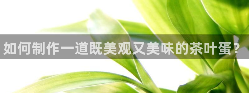 龙八国际城客运站电话