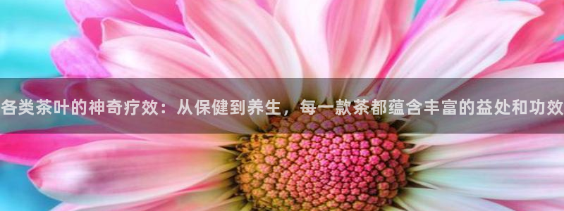 龙八国际唯一官网