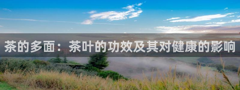 龙八国际官方网站