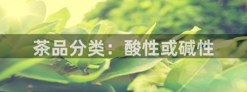 龙八国际手机版下载安装