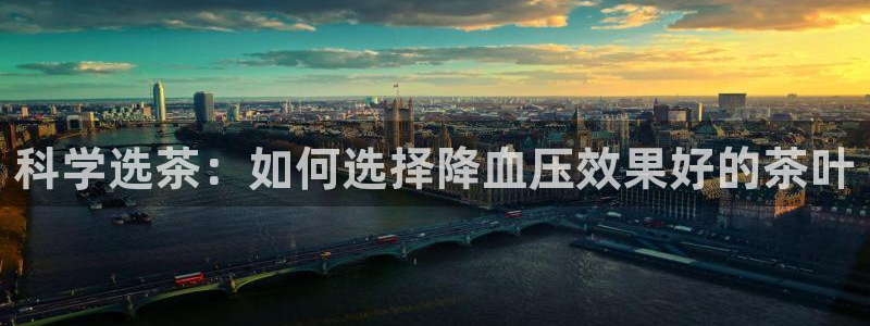 龙八国际娱乐app下载