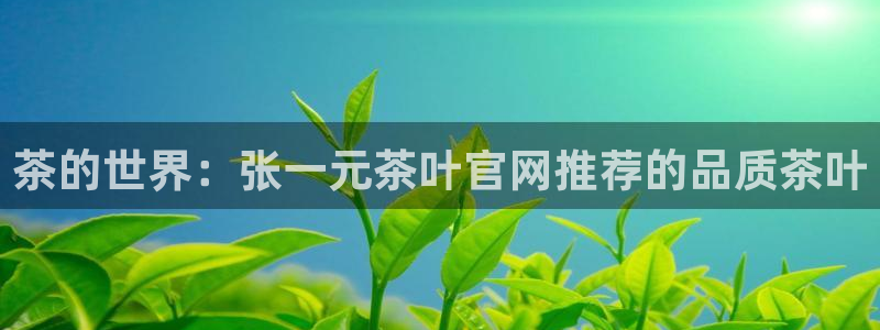 龙八国际网页long123