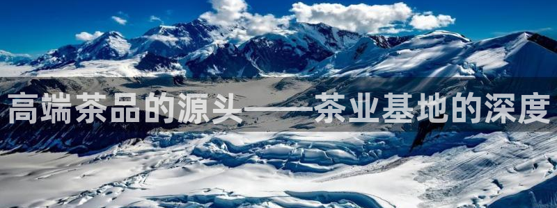 龙八国际手机版下载官网