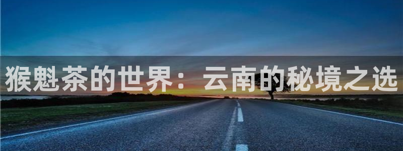 龙八国际华