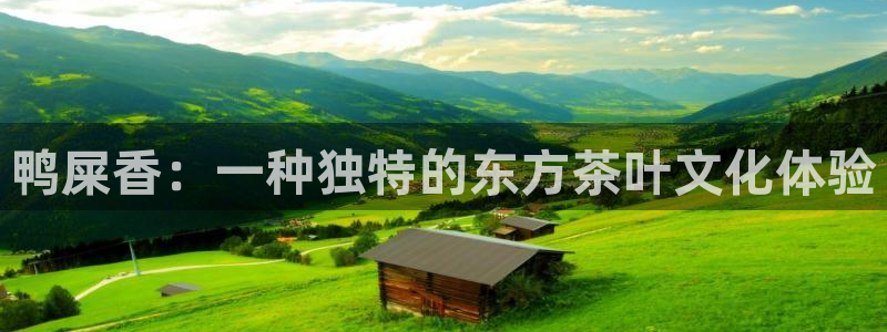龙八国际官网app下载