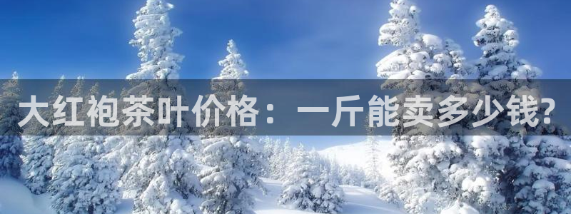 龙八国际客服