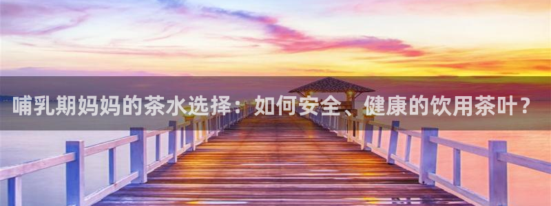 头号玩家龙八国际网址