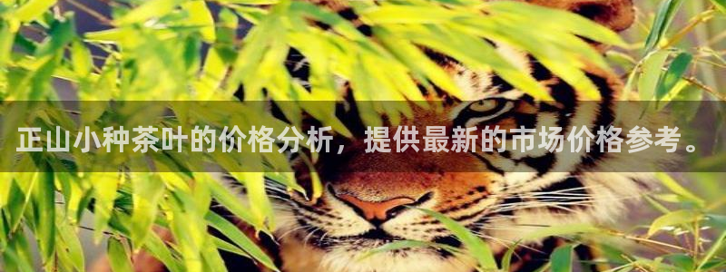 龙八国际娱