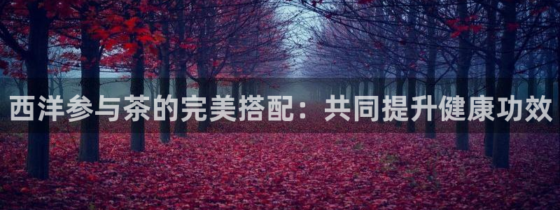 龙八国际娱乐二维码