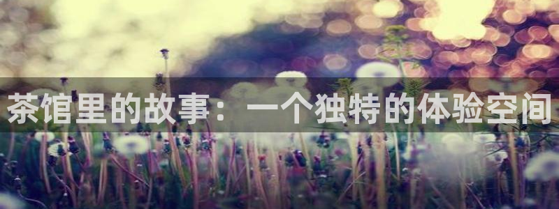 龙八国际娱乐老虎机