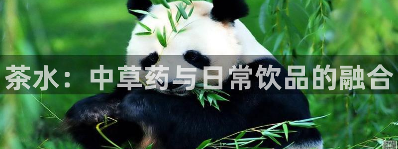 龙八国际国际娱乐官网