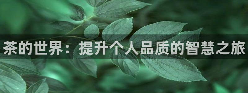 龙八国际可靠