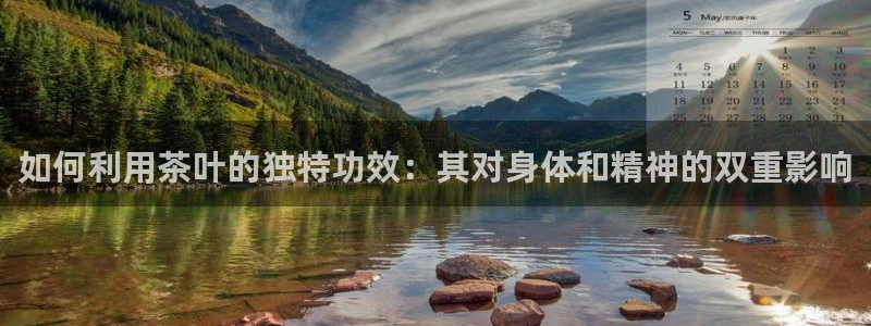 龙八国际官网进入