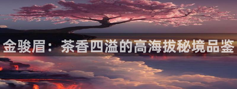 龙八国际apPP