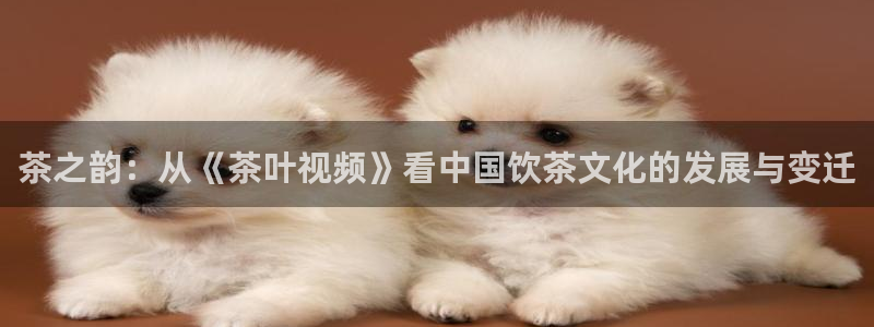 龙八国际我要登录