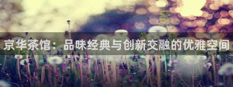 龙八国际娱乐app下载