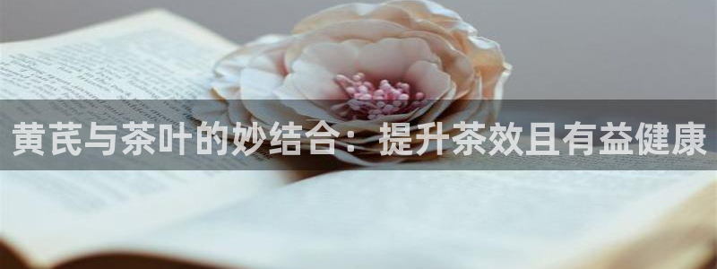 龙八国际网站登录