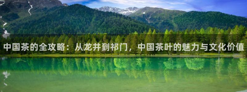 龙八国际登入