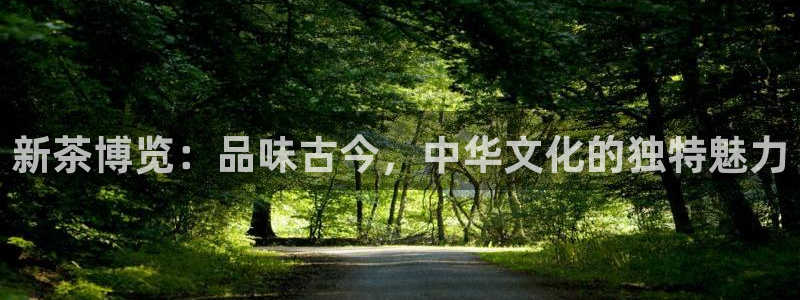 龙八国际客户端下载安卓