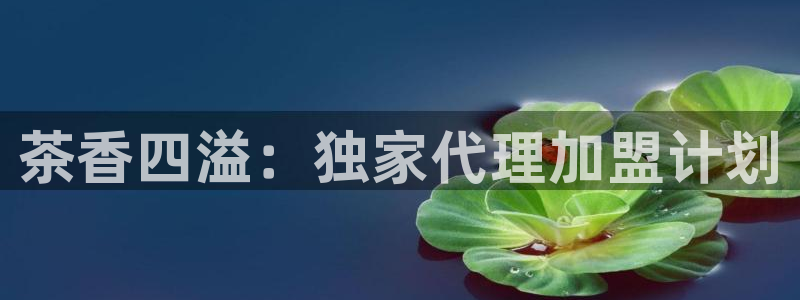 龙八国际备用地址