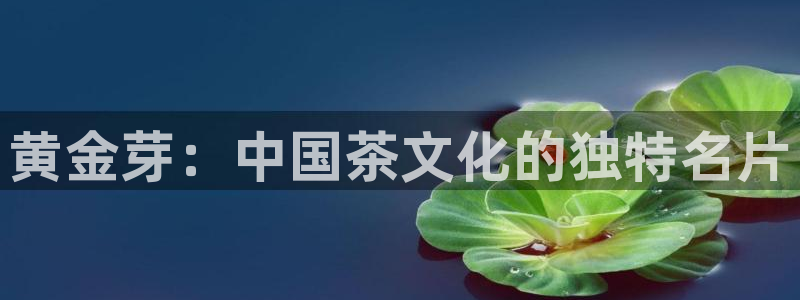 龙八国际娱乐在线