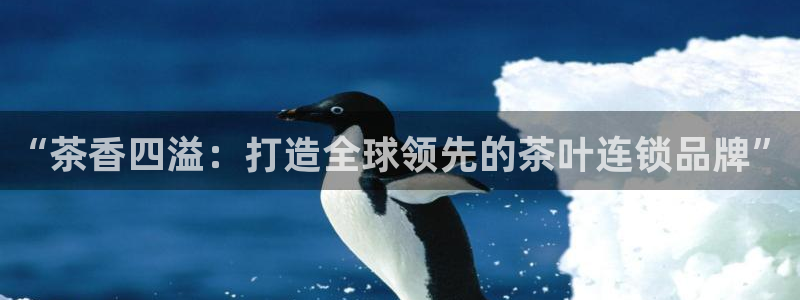 龙八国际娯乐城